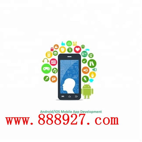 深圳西乡企业APP开发 科技公司的软件开发之道