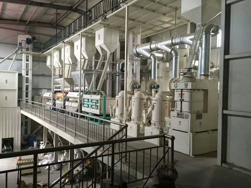 先进成套玉米加工设备 网络技术驱动下的玉米食品多样化浪潮