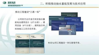 抽水蓄能技术发展与网络技术融合的前沿探索